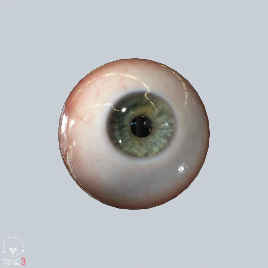 Eyeball