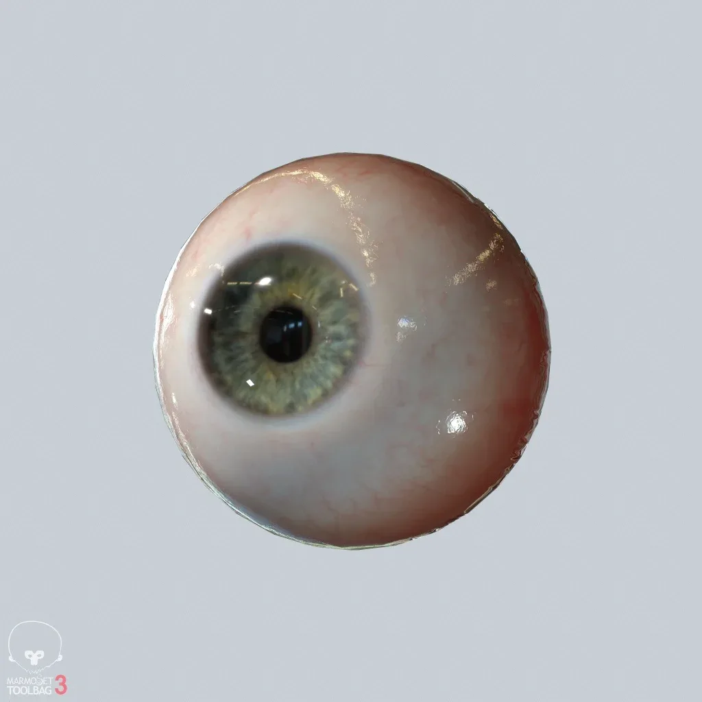Eyeball