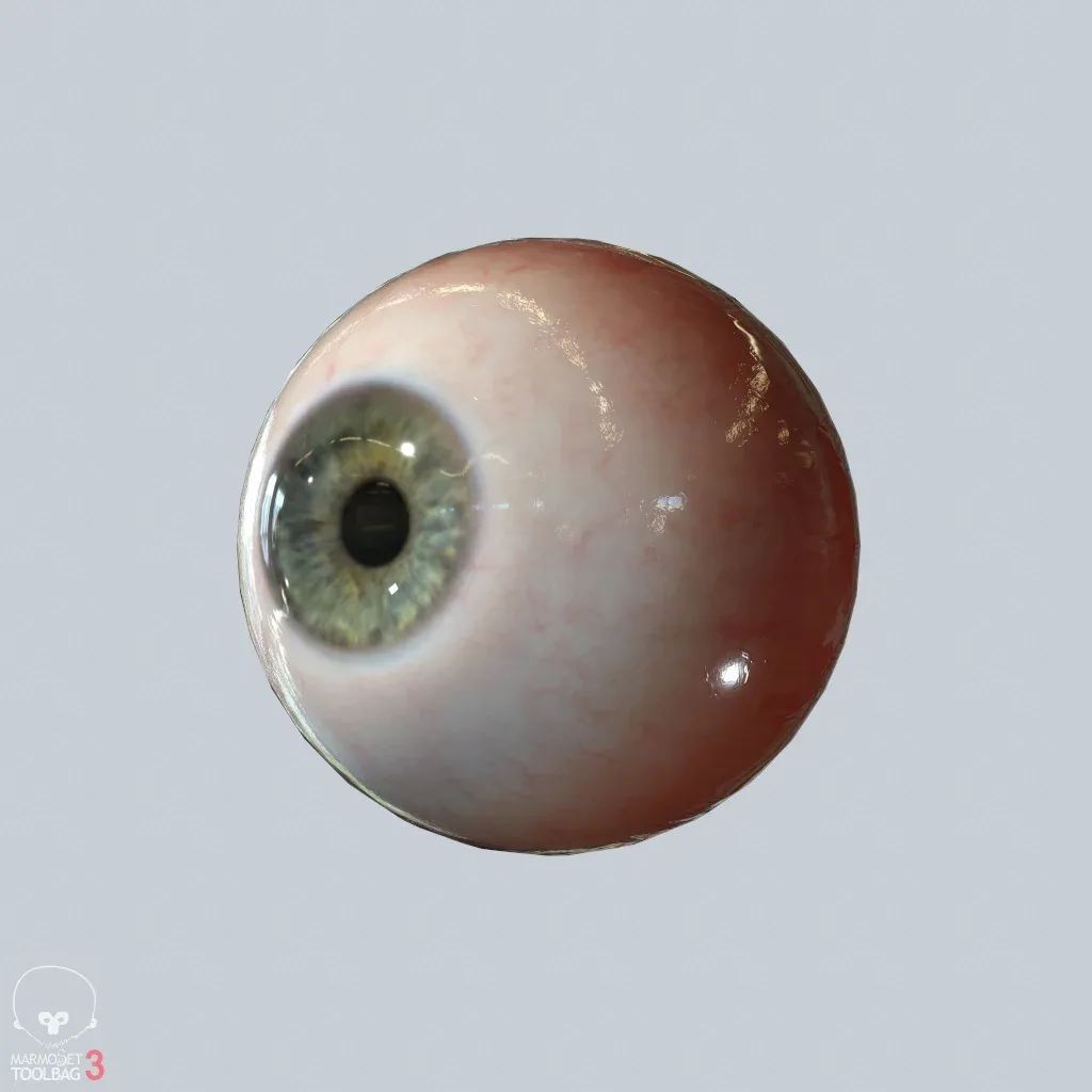 Eyeball