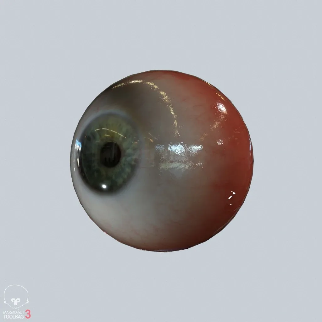 Eyeball