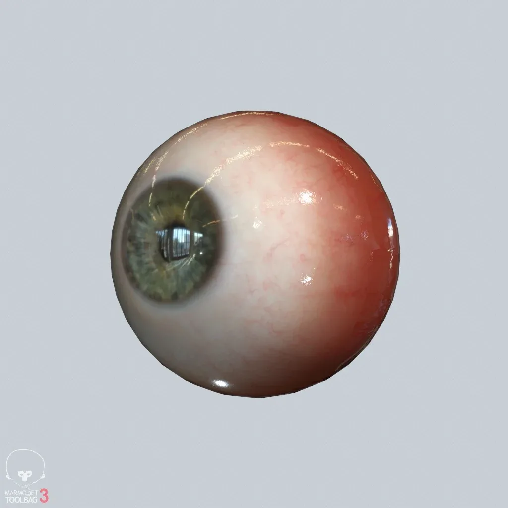 Eyeball