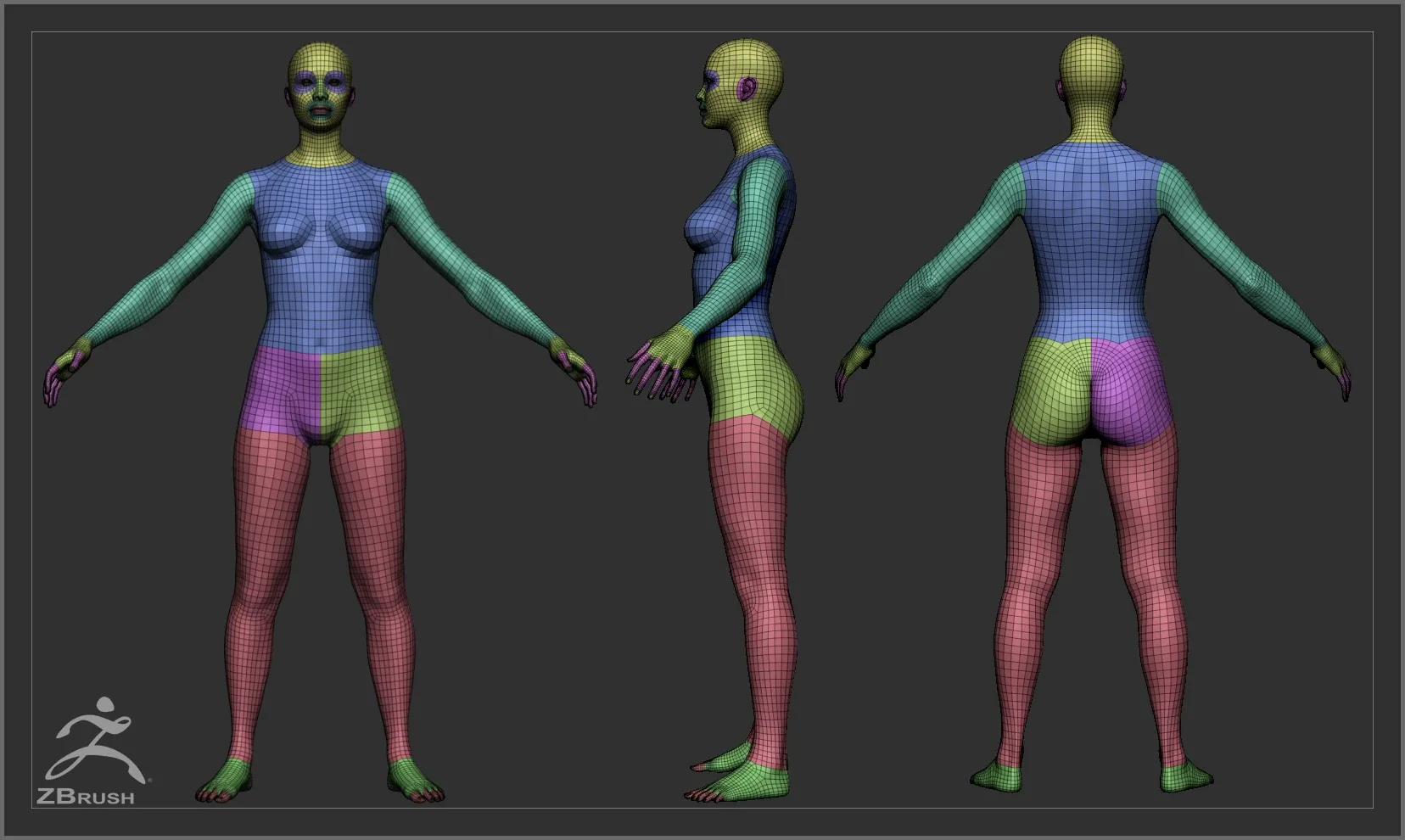 Average Body Lowpoly Basemesh Set