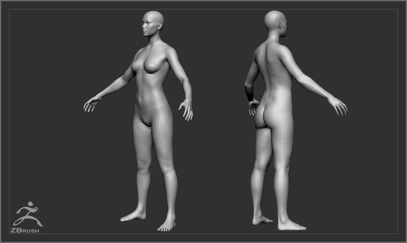 Average Body Lowpoly Basemesh Set