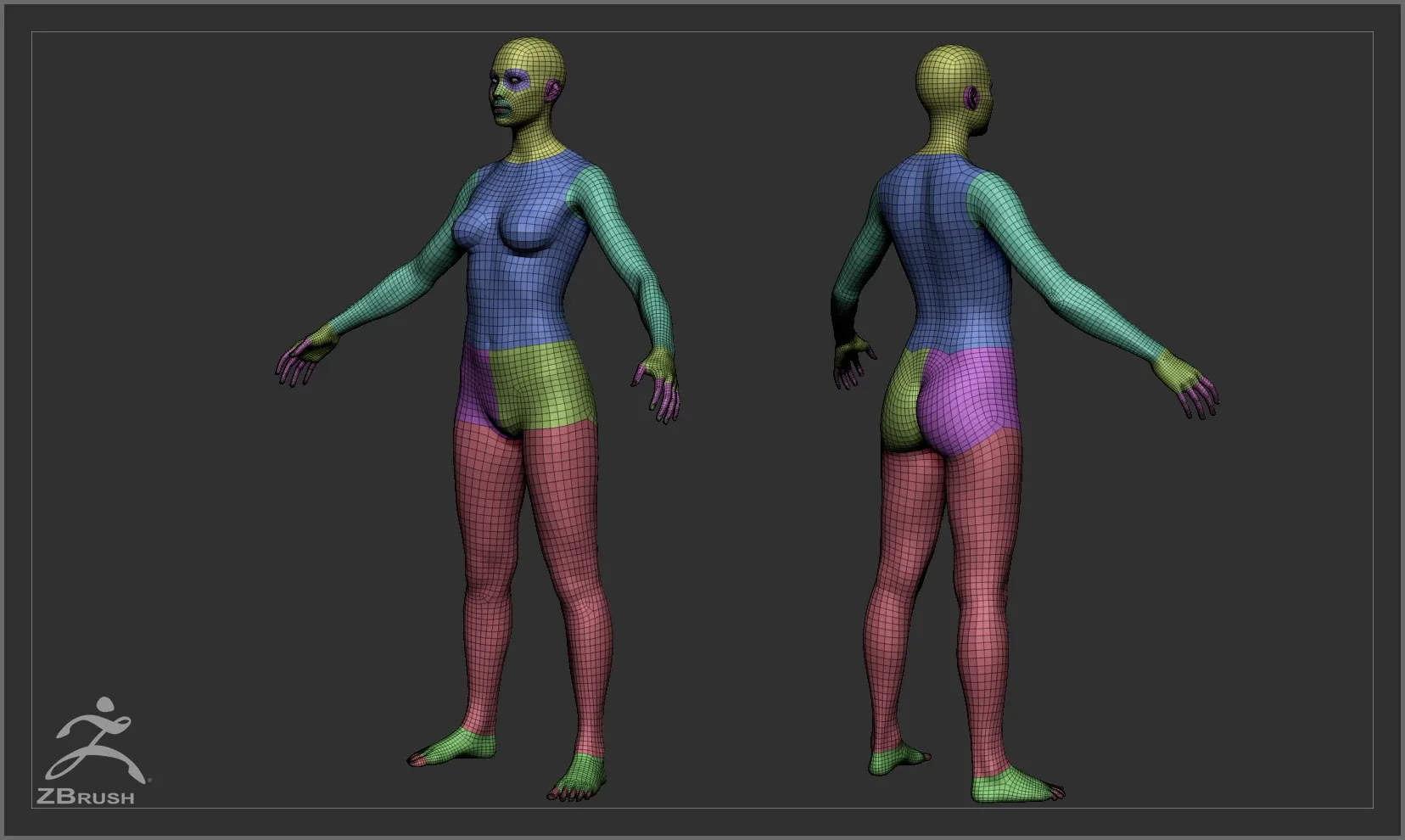 Average Body Lowpoly Basemesh Set