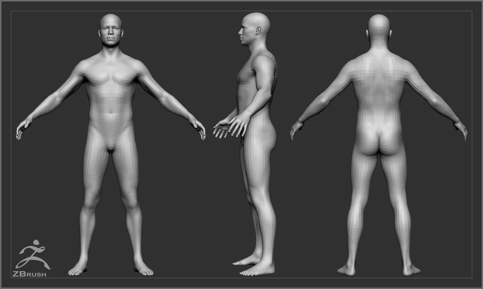 Average Body Lowpoly Basemesh Set