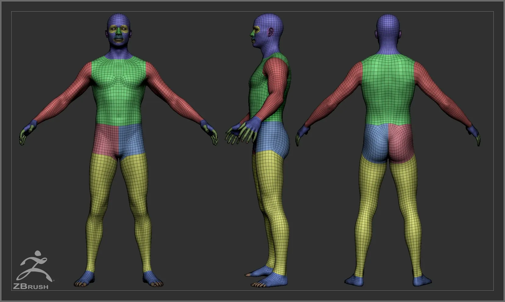 Average Body Lowpoly Basemesh Set