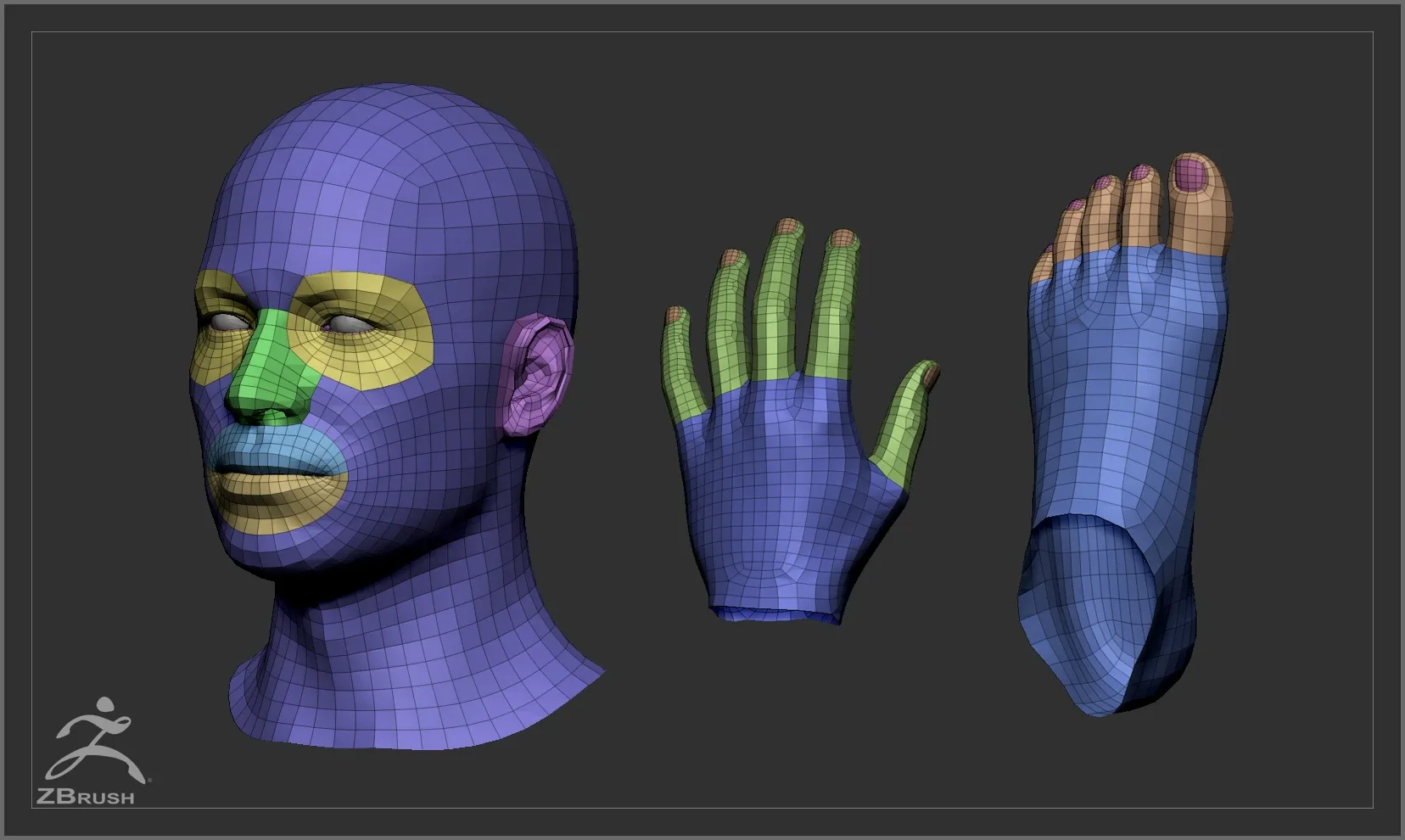 Average Body Lowpoly Basemesh Set