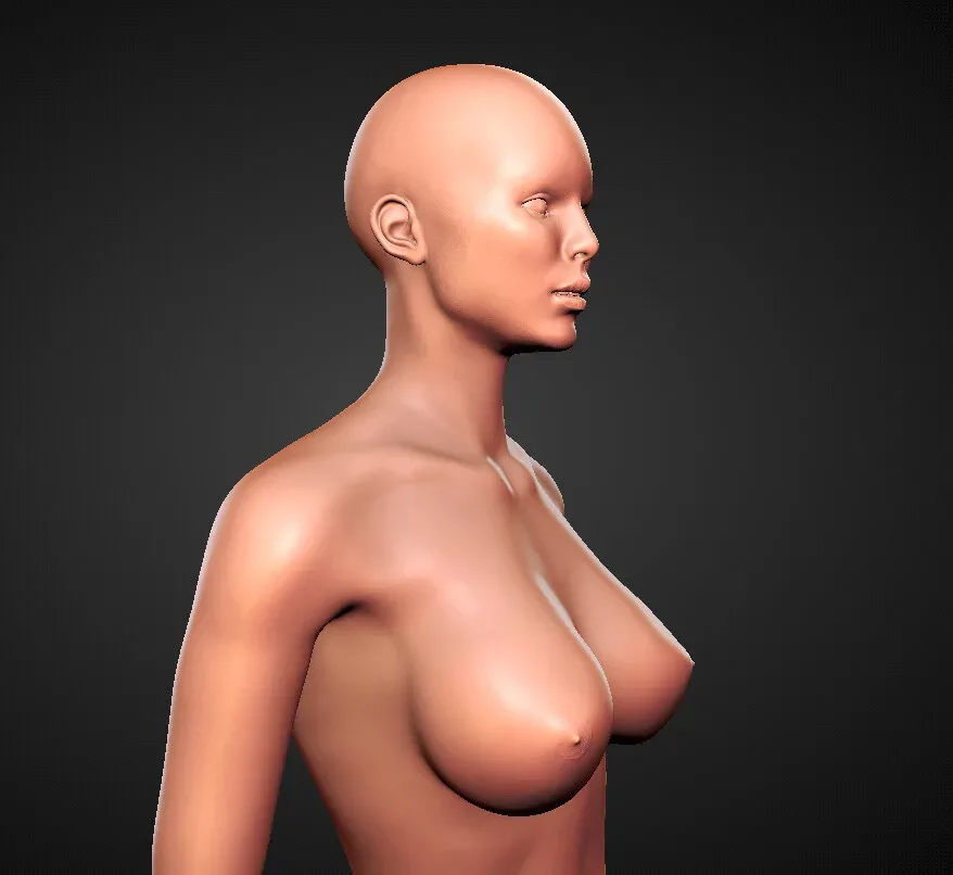 Female Body High Poly Sculpt