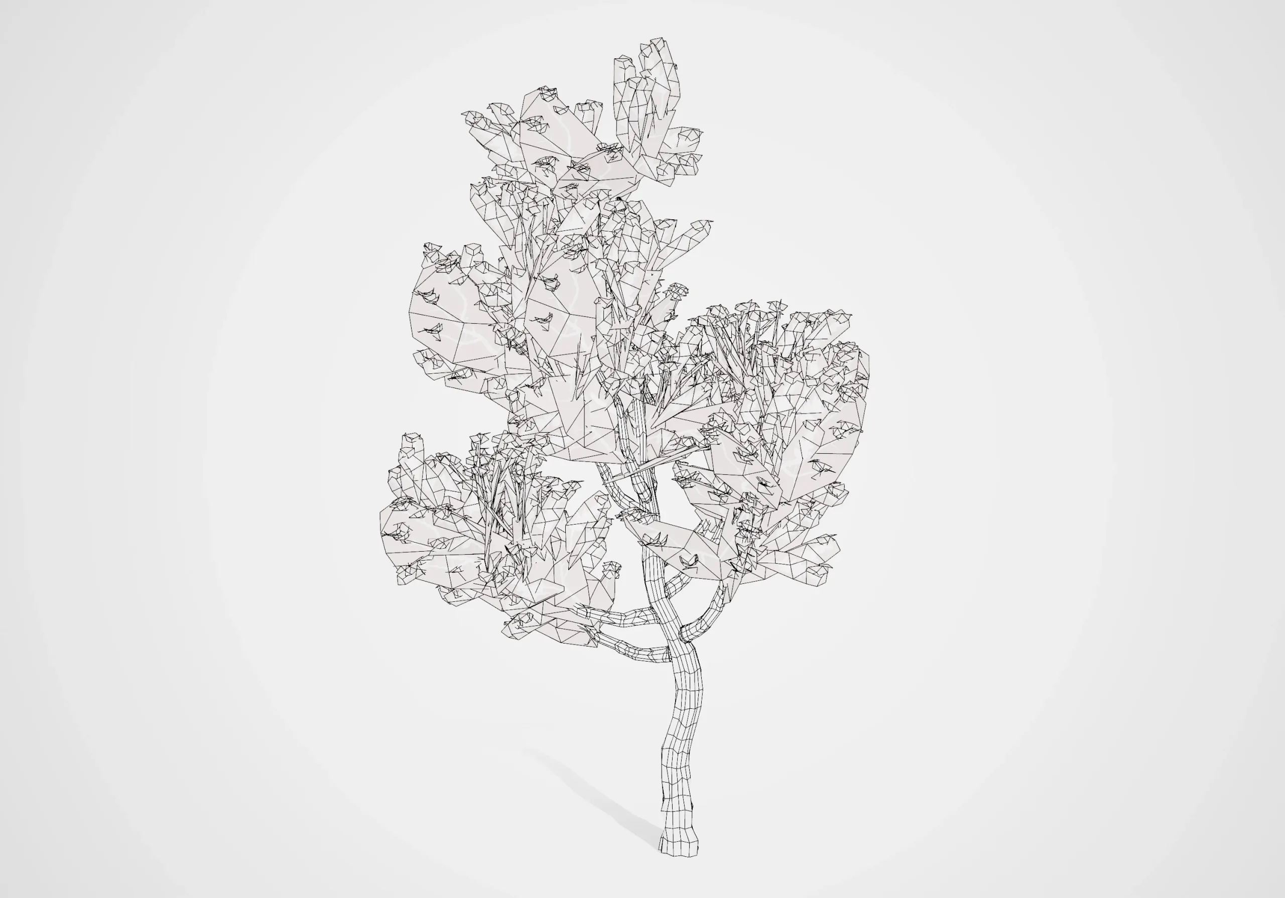 Tropical Ohi'a Lehua Tree of Hawaii 3D Model