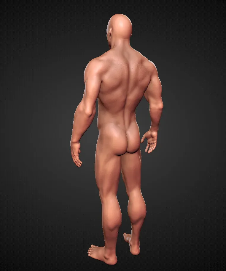 Male Body High Poly Sculpt