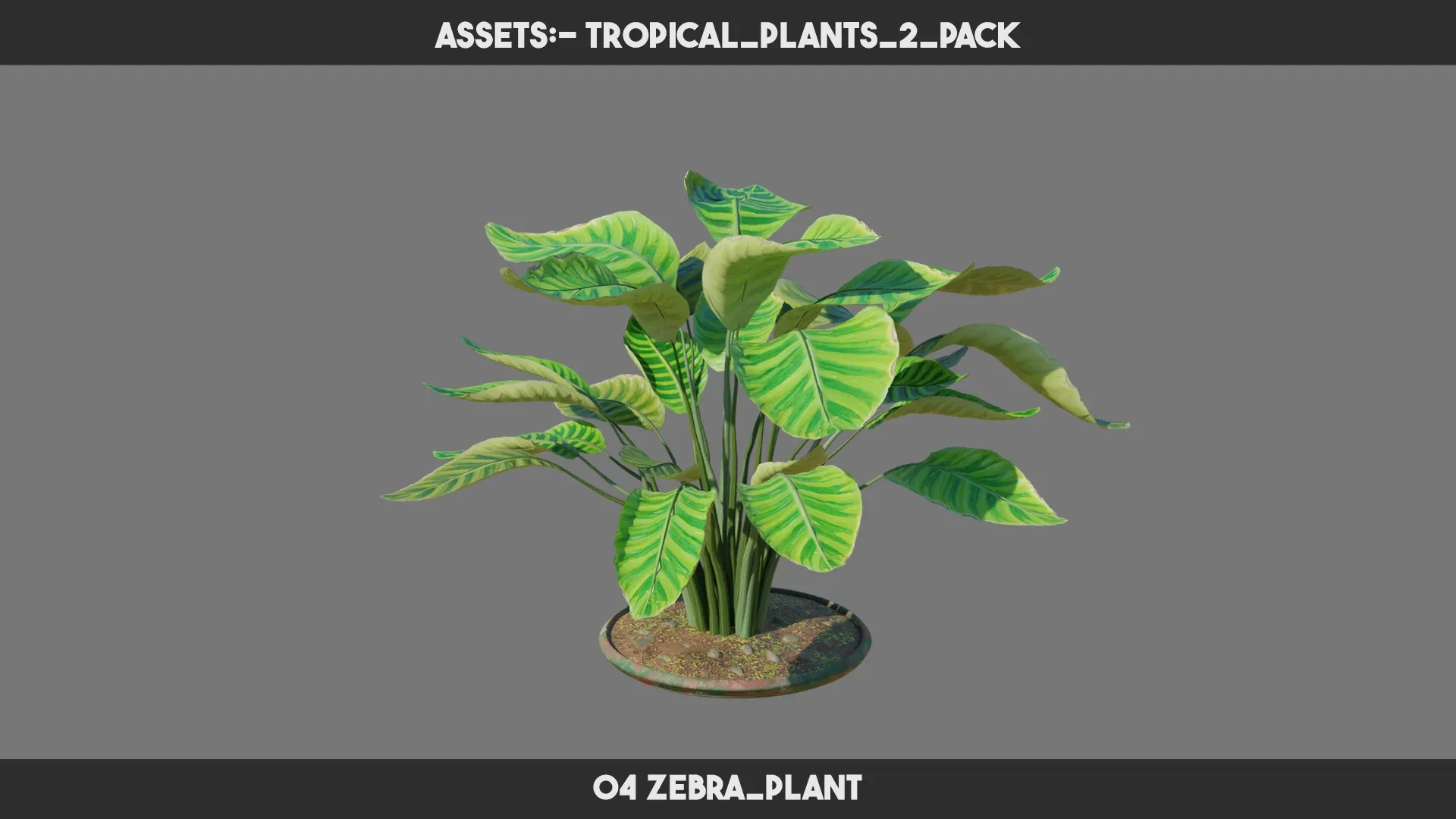 Tropical Plants 2 PACK