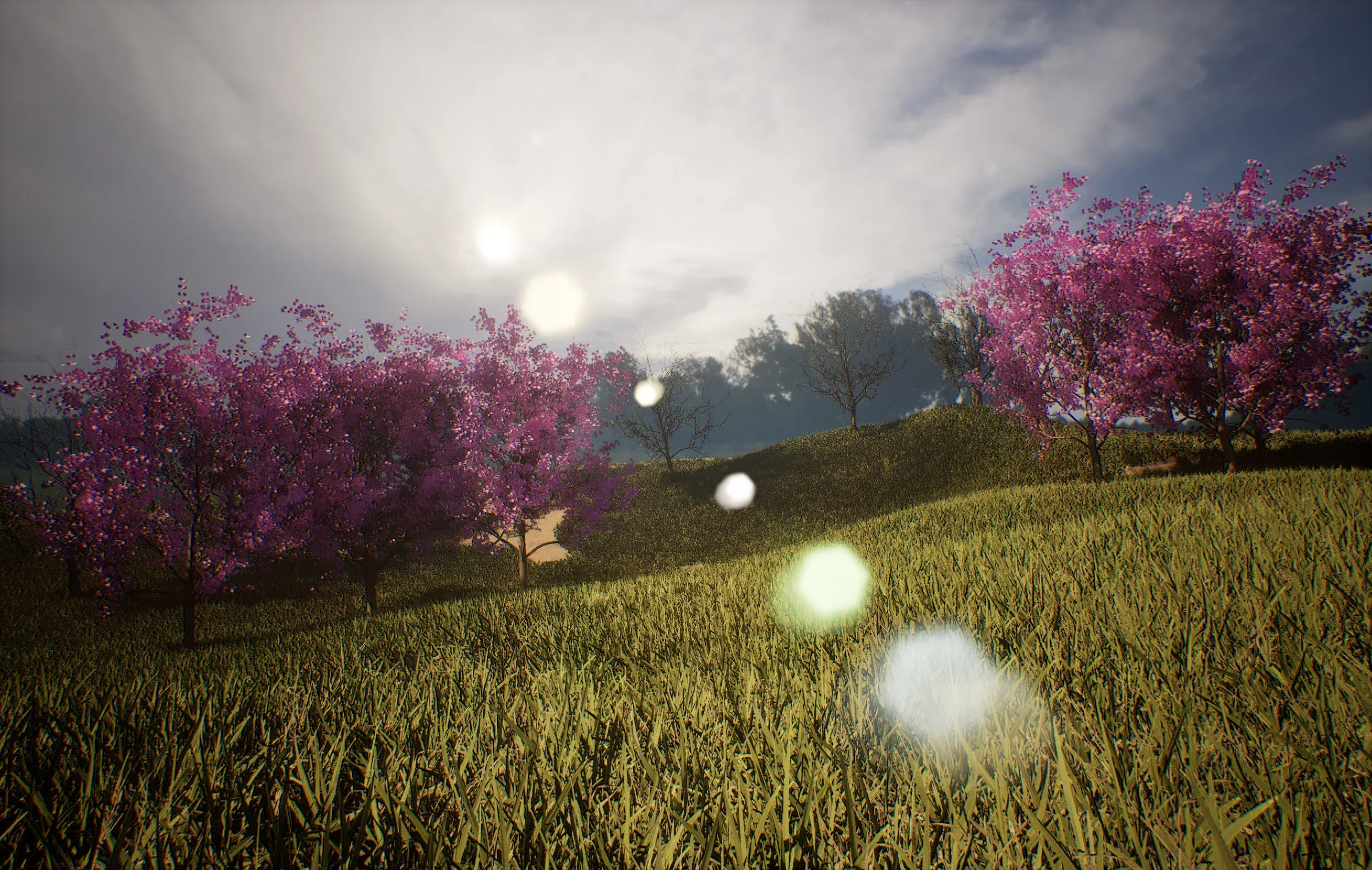 Blossom trees with rolling hill 3d scene