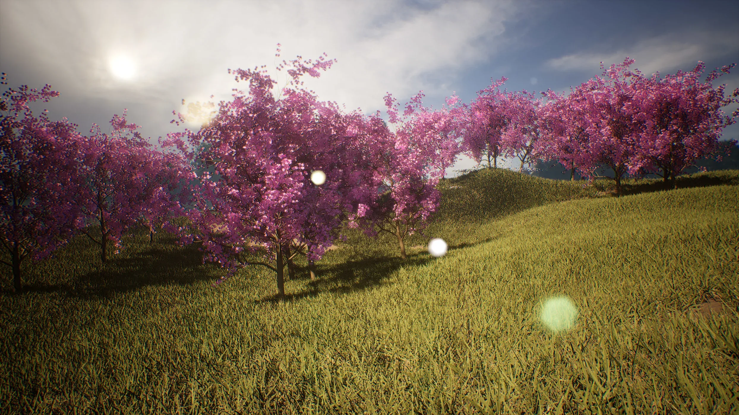 Blossom trees with rolling hill 3d scene