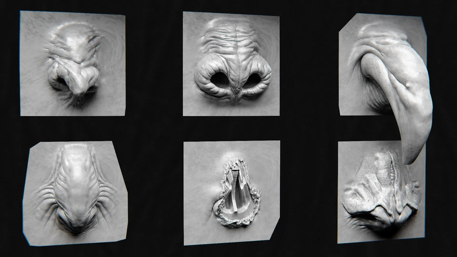 44 Nose - High Detailed Noses For Creatures - VDM Zbursh, VDM Blender