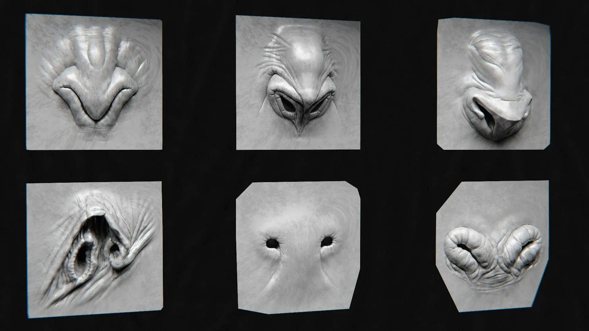 44 Nose - High Detailed Noses For Creatures - VDM Zbursh, VDM Blender