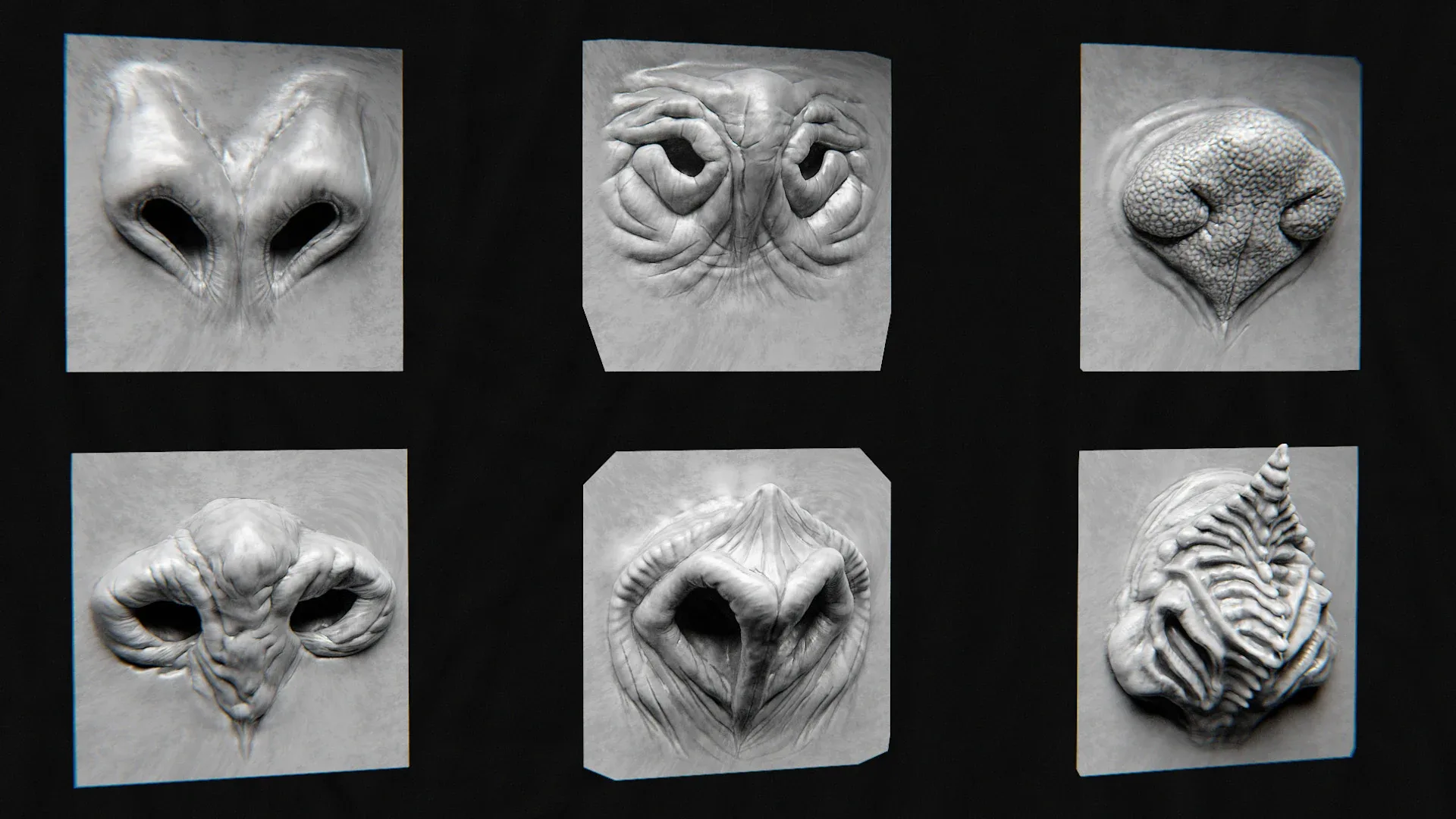 44 Nose - High Detailed Noses For Creatures - VDM Zbursh, VDM Blender