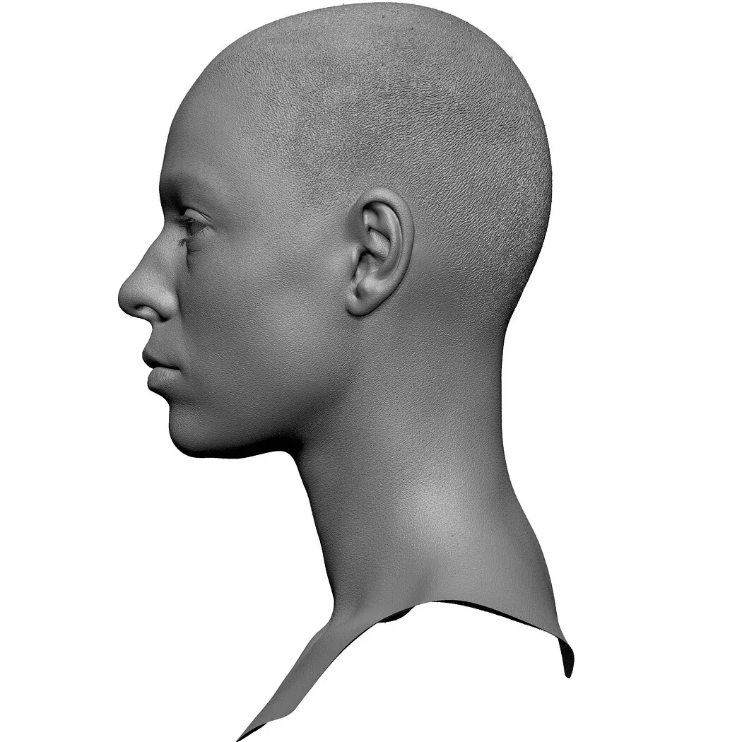 Retopologized 3D Head | Alexia Madrid