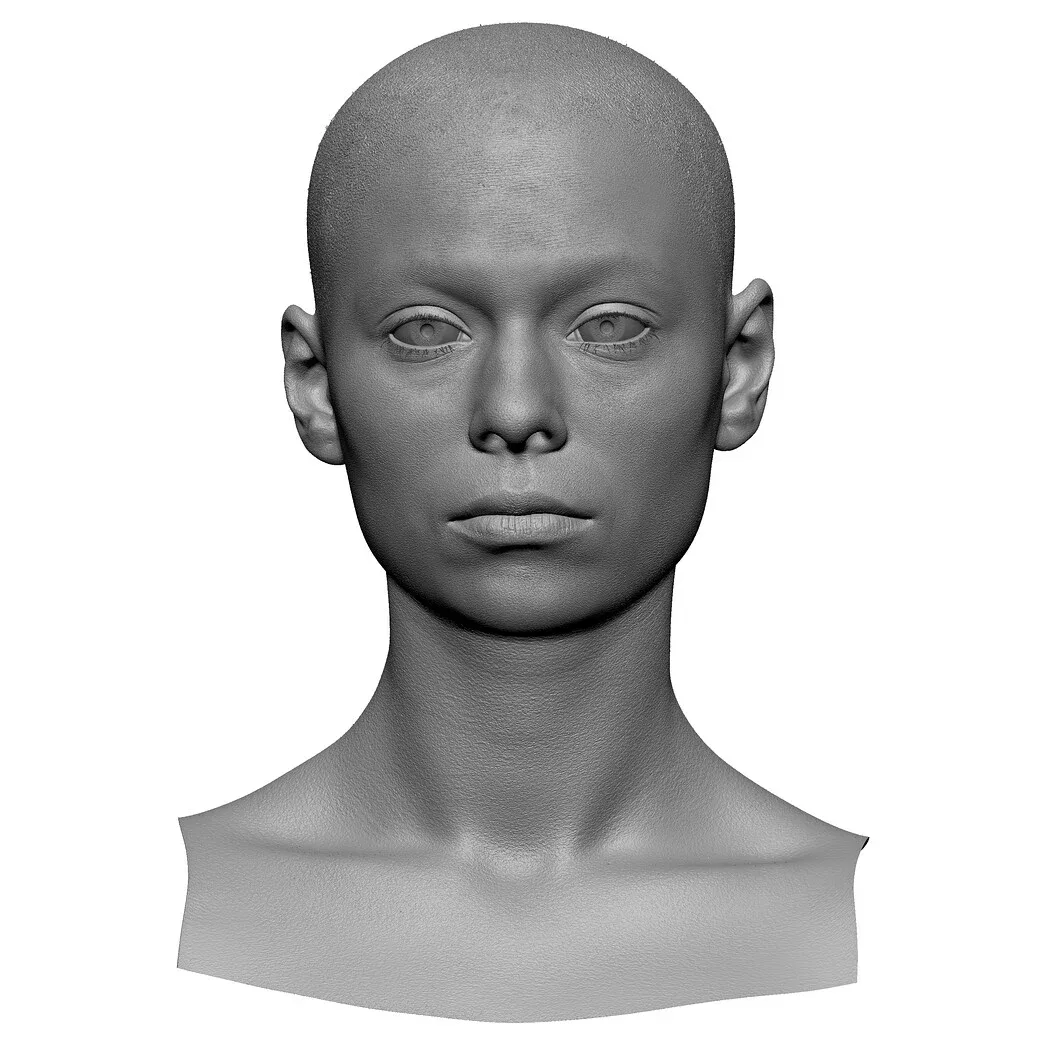 Retopologized 3D Head | Alexia Madrid