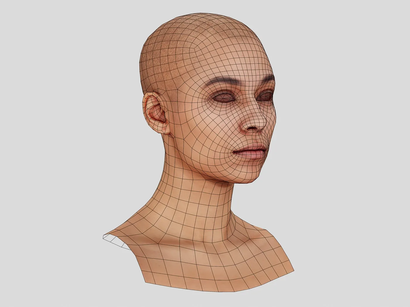 Retopologized 3D Head | Alexia Madrid