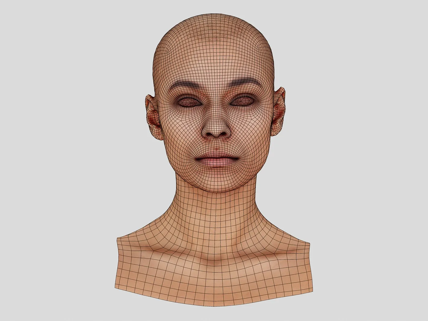 Retopologized 3D Head | Alexia Madrid