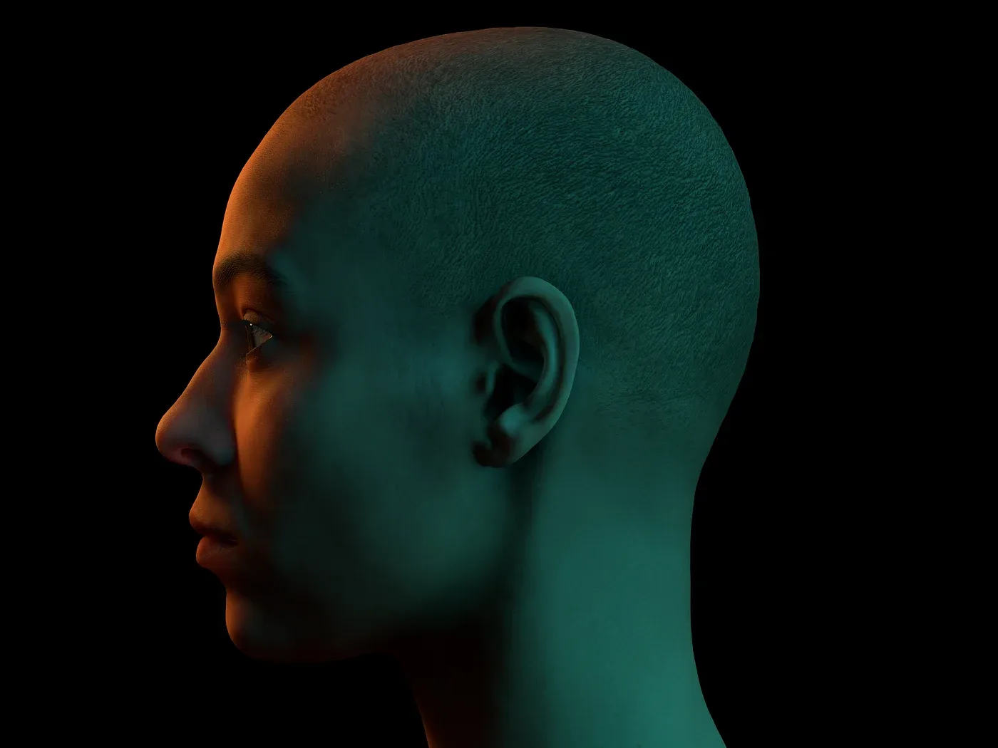 Retopologized 3D Head | Alexia Madrid