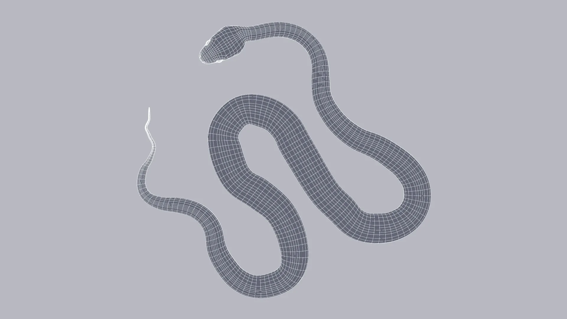 Black Rat Snake - Animated