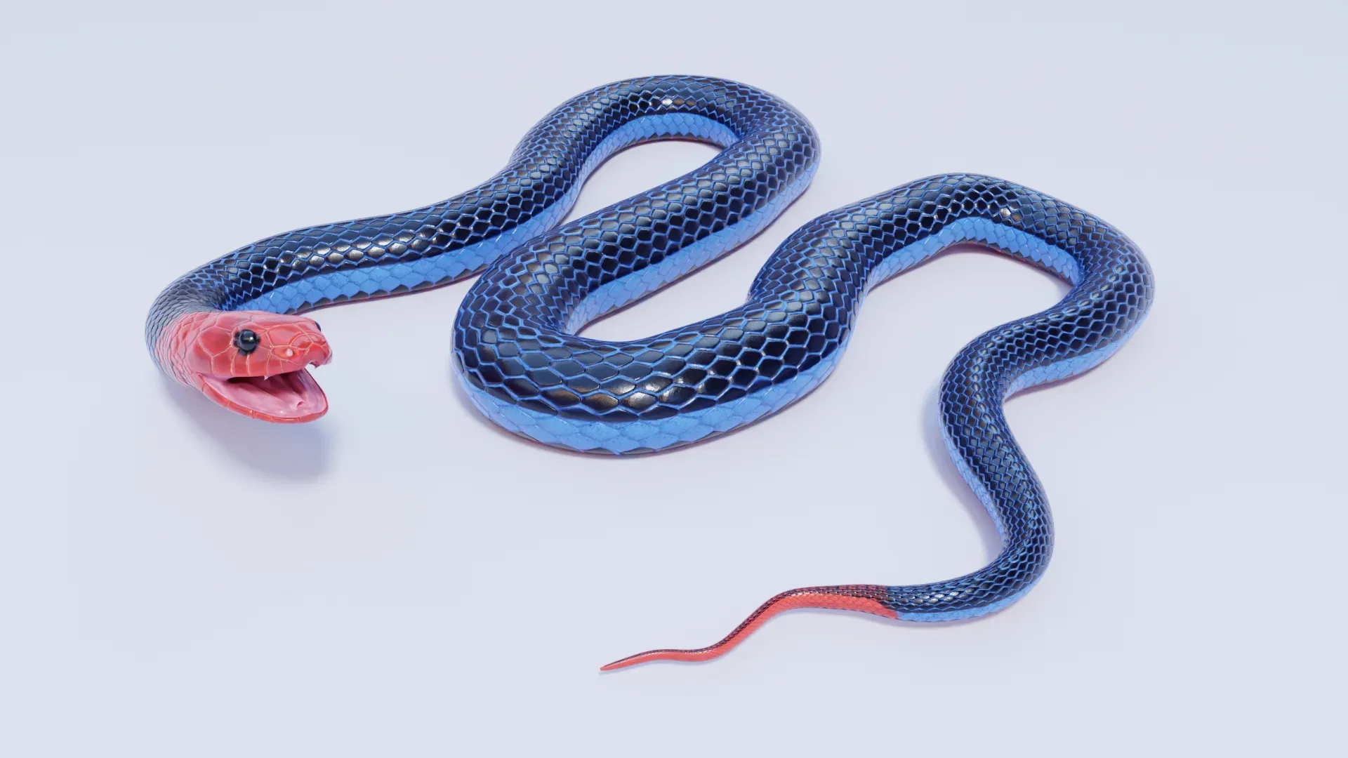 Blue Coral Snake - Animated