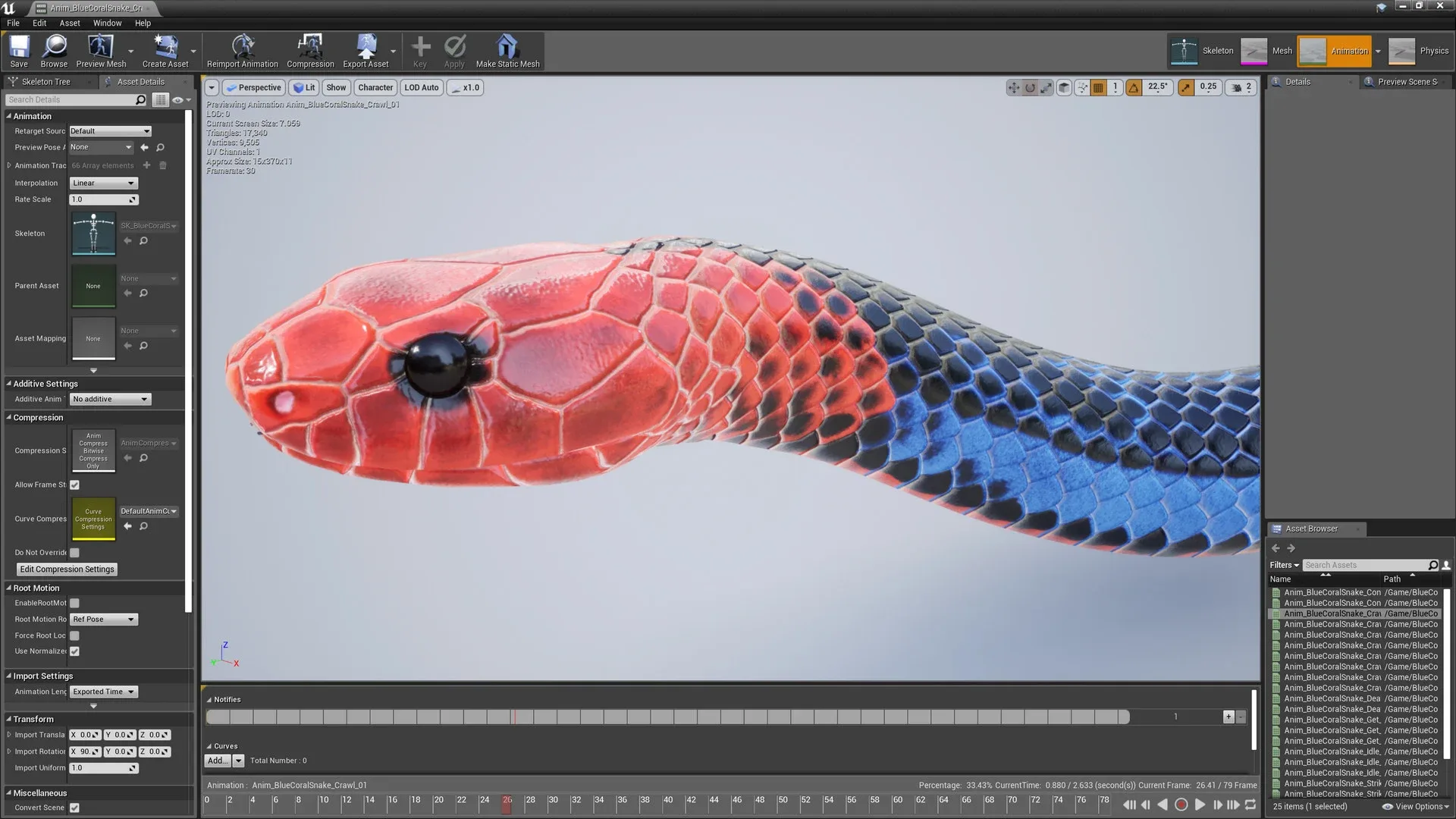 Blue Coral Snake - Animated