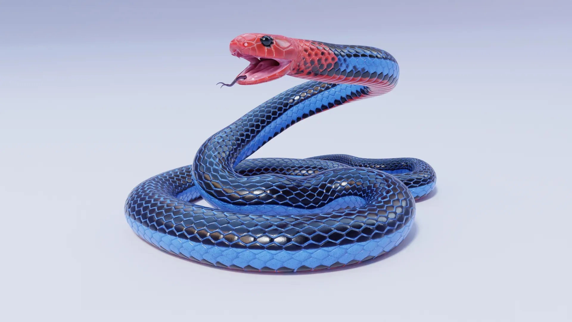 Blue Coral Snake - Animated