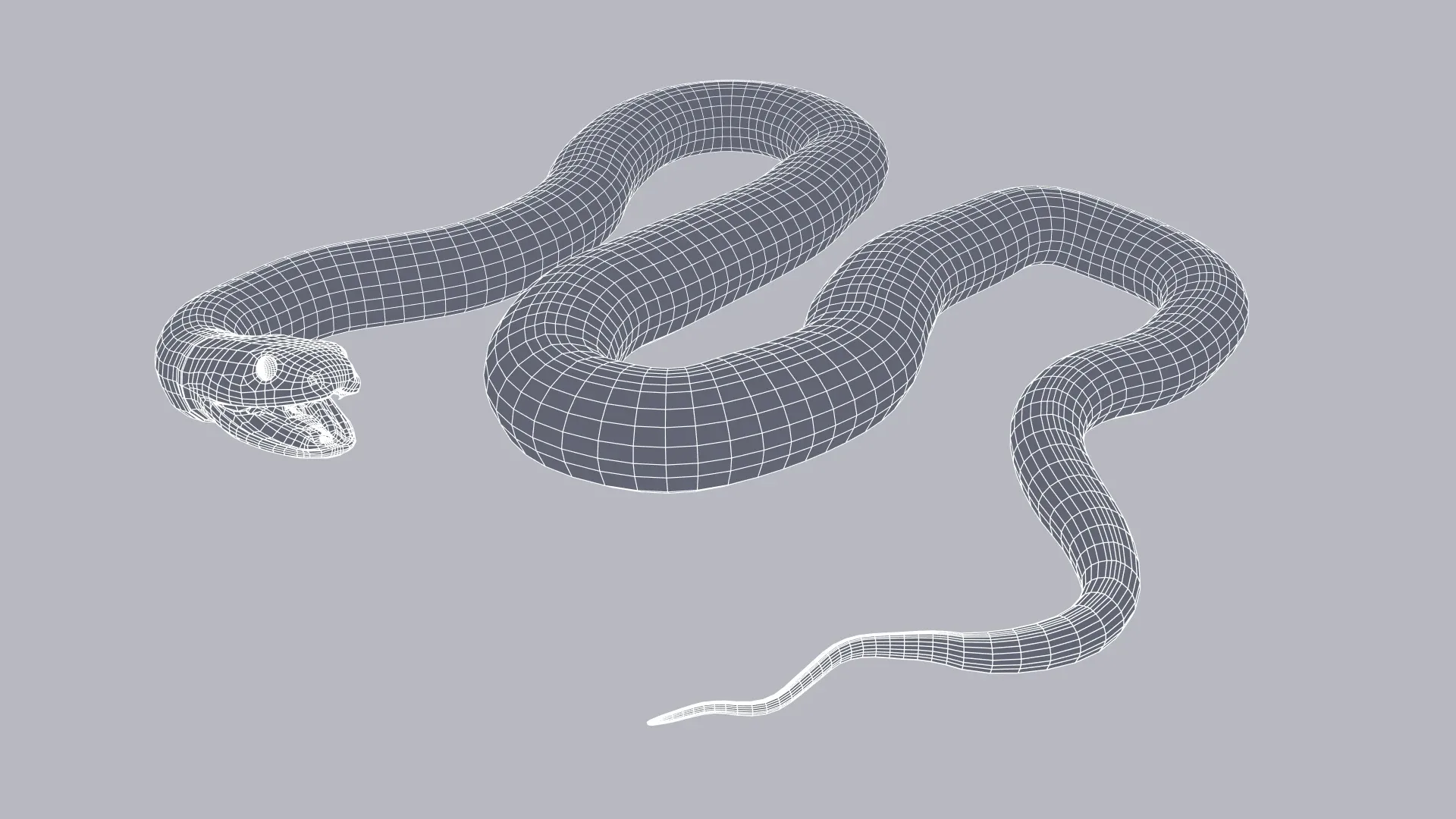 Blue Coral Snake - Animated