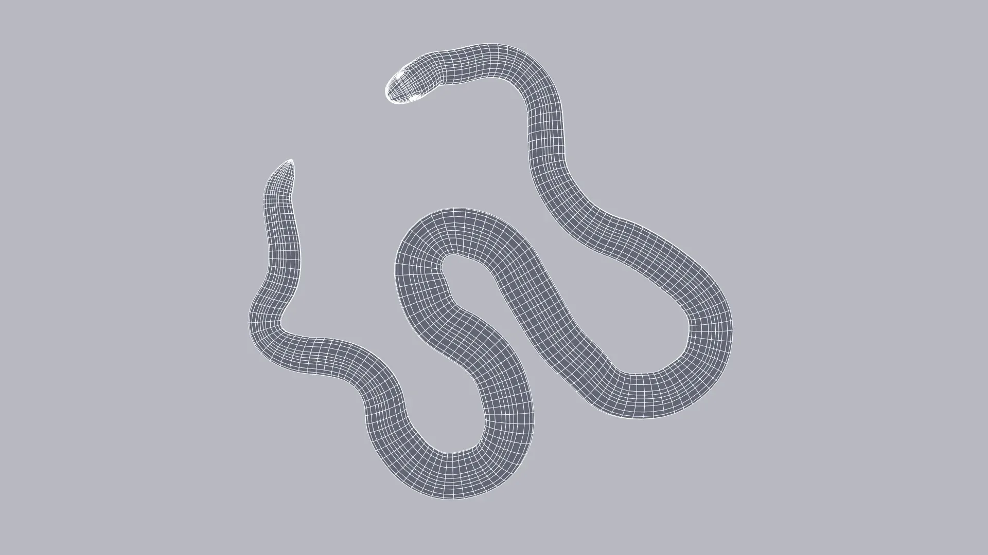 Calabar Python - Animated