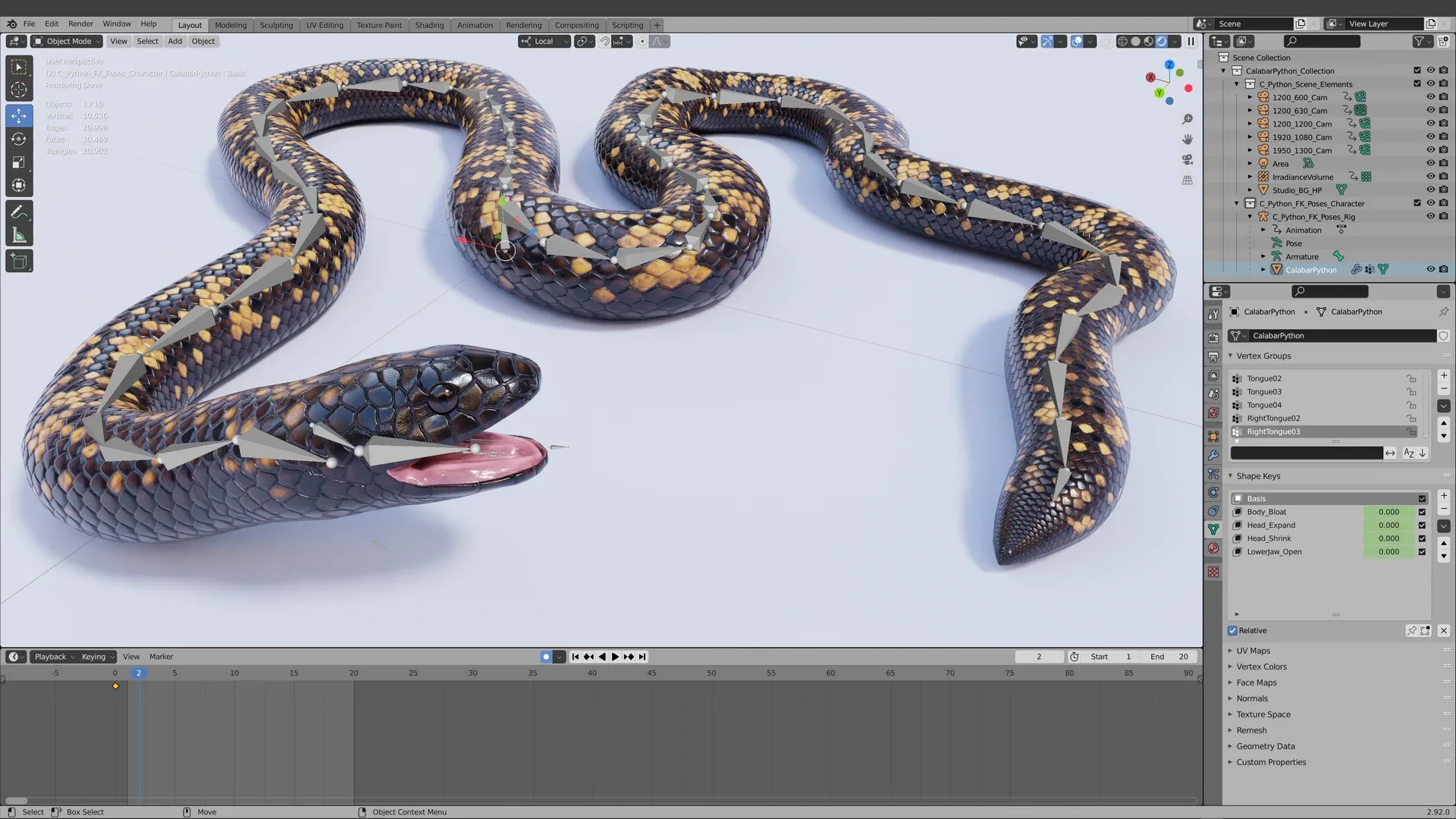 Calabar Python - Animated