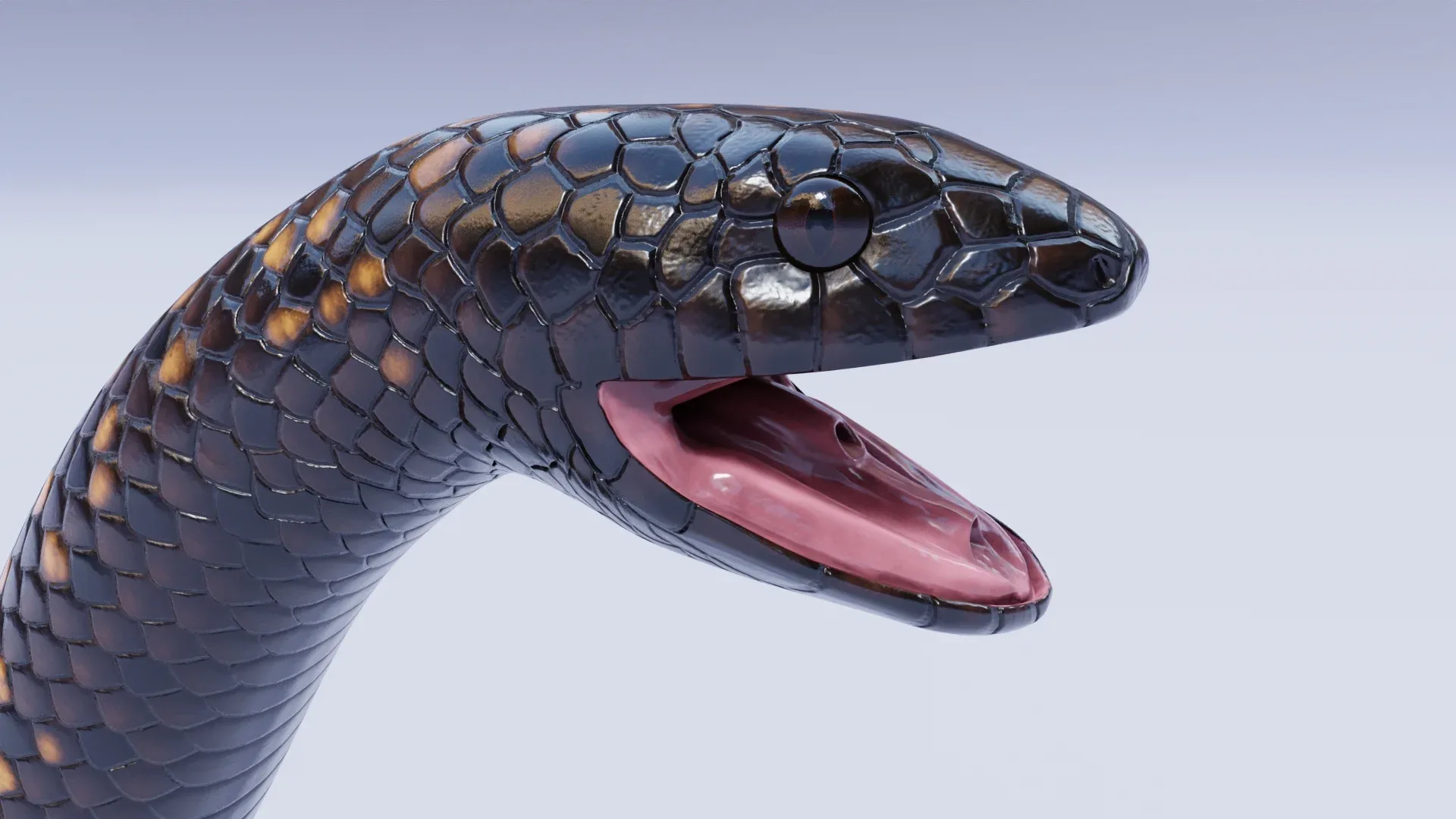 Calabar Python - Animated