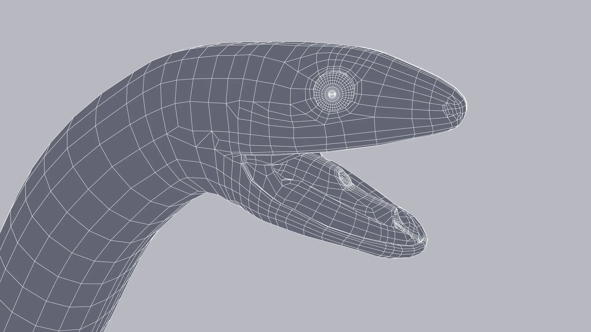 Calabar Python - Animated
