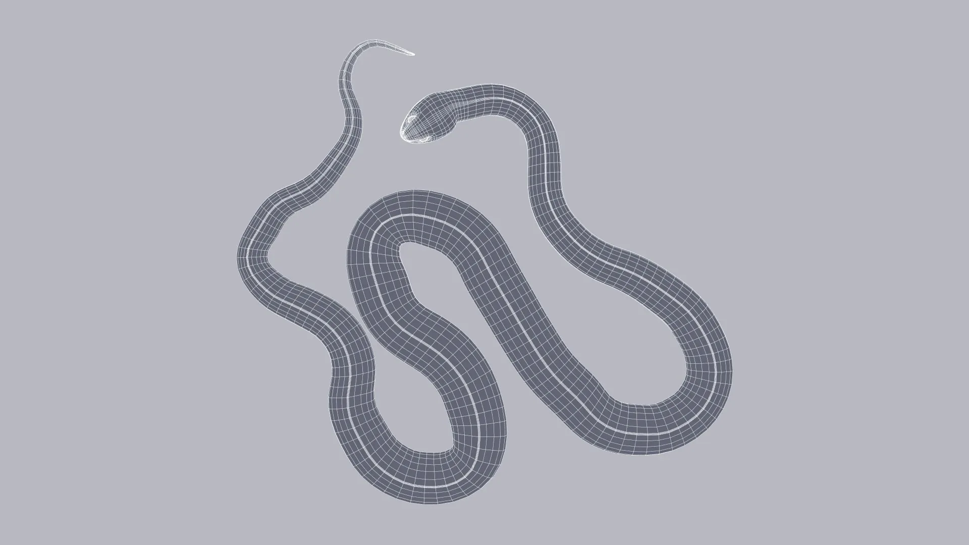 Eastern Brown Snake - Animated