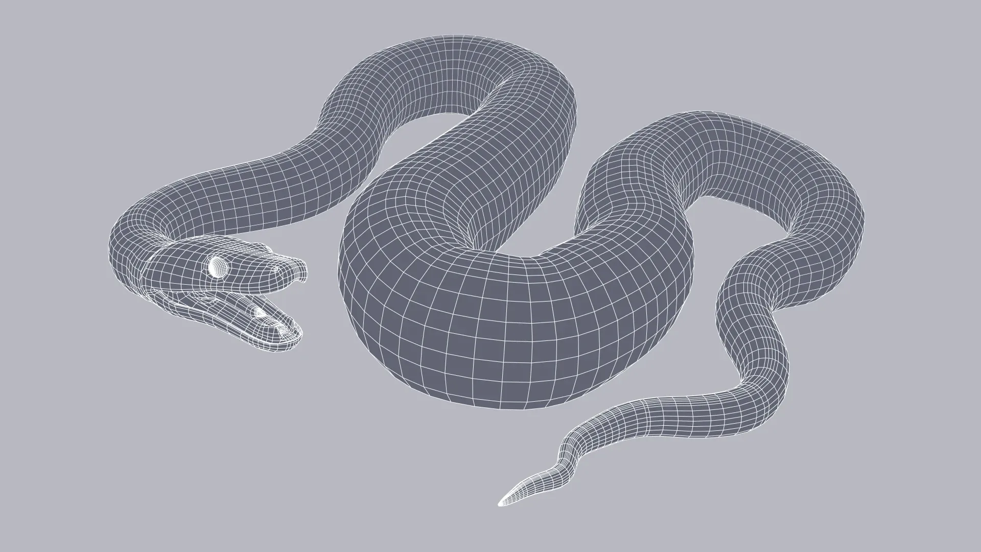 Scrub Python - Animated