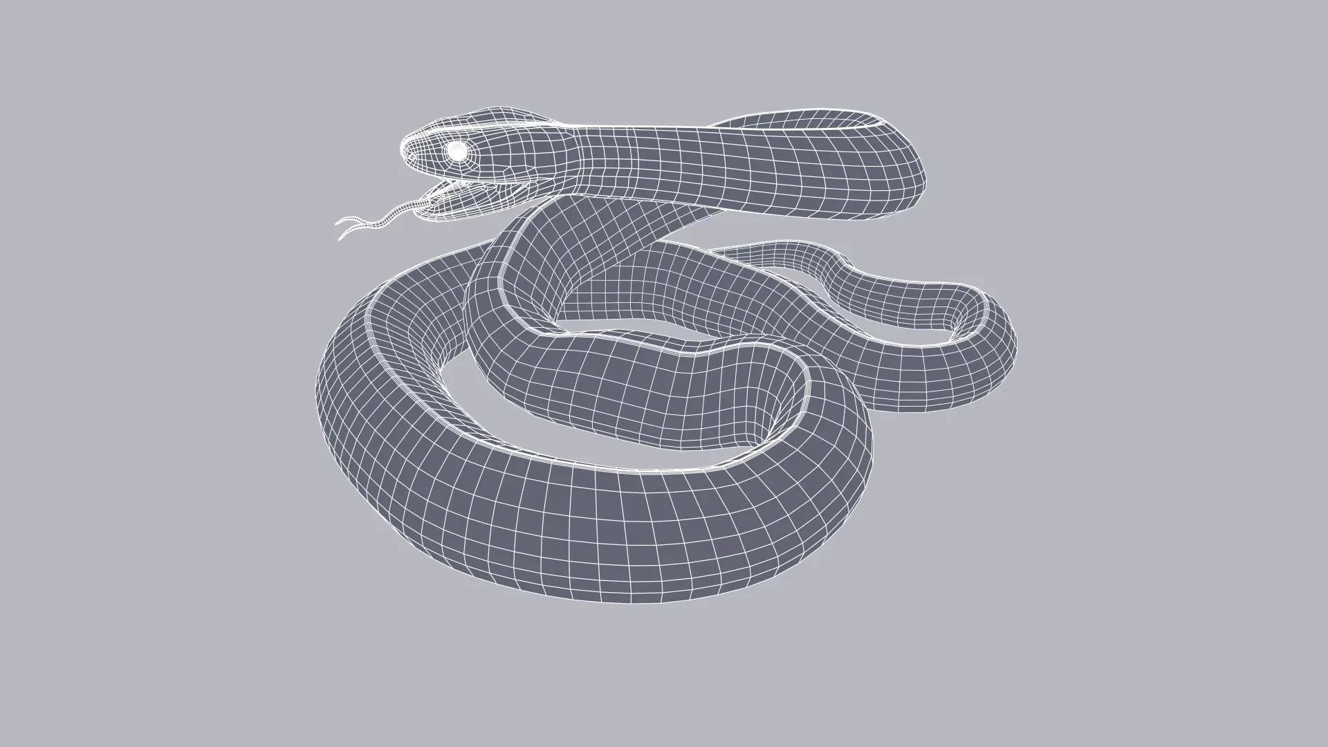 Tiger Snake - Animated