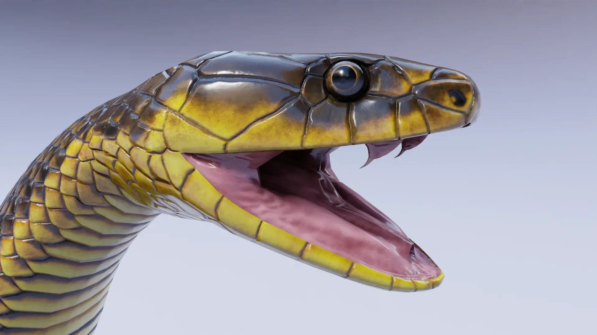 Tiger Snake - Animated