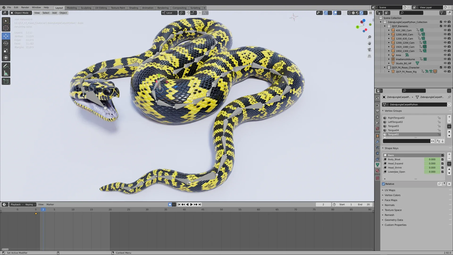 Zebra Jungle Carpet Python - Animated