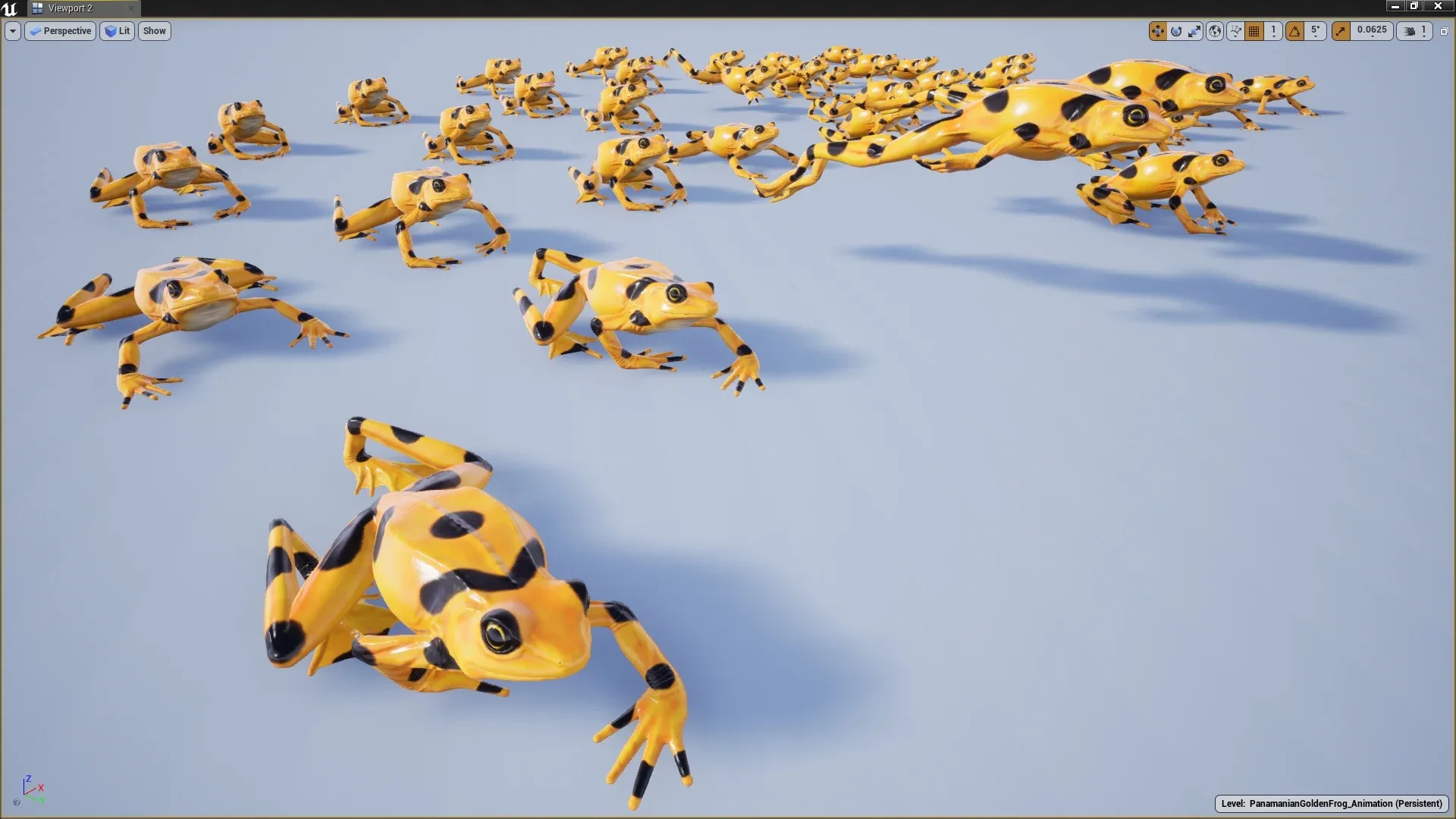 Panamanian Golden Frog - Animated