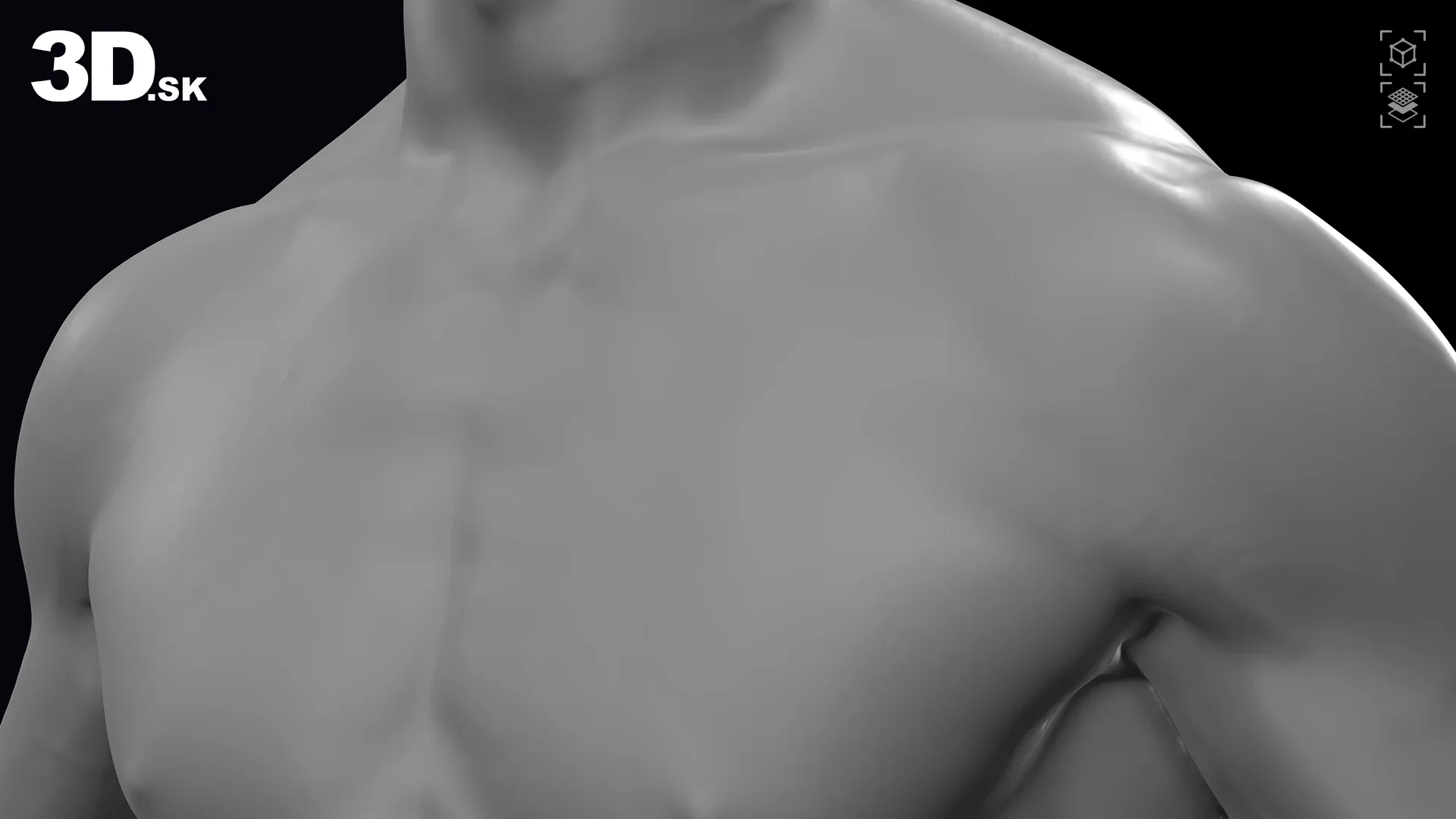 Base Body Scan | Human 3D Model Matej