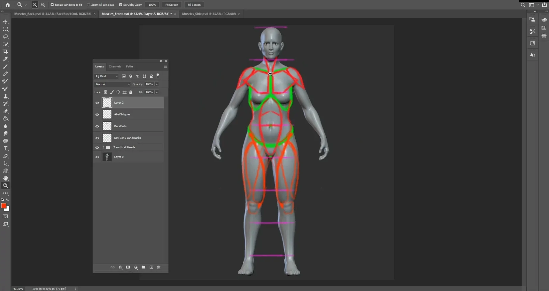 Getting Started with Figure Sculpting in Zbrush