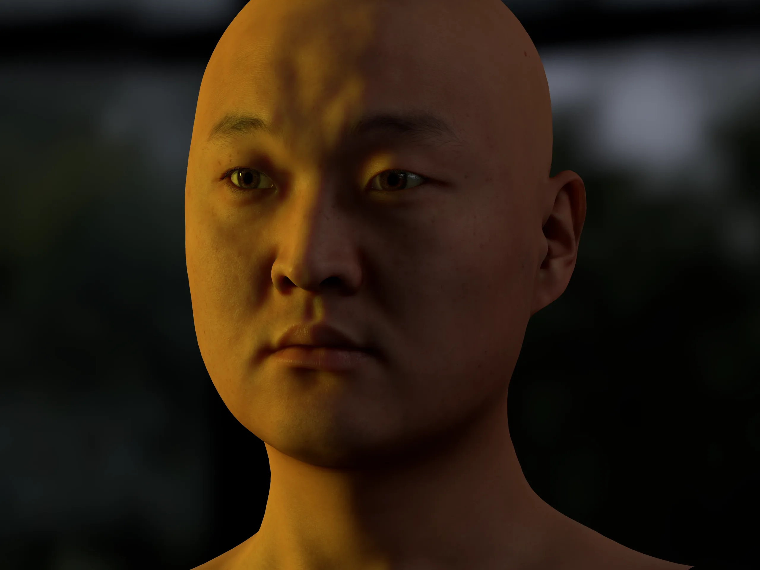 Retopologized 3D Head | Dokuro Konyo