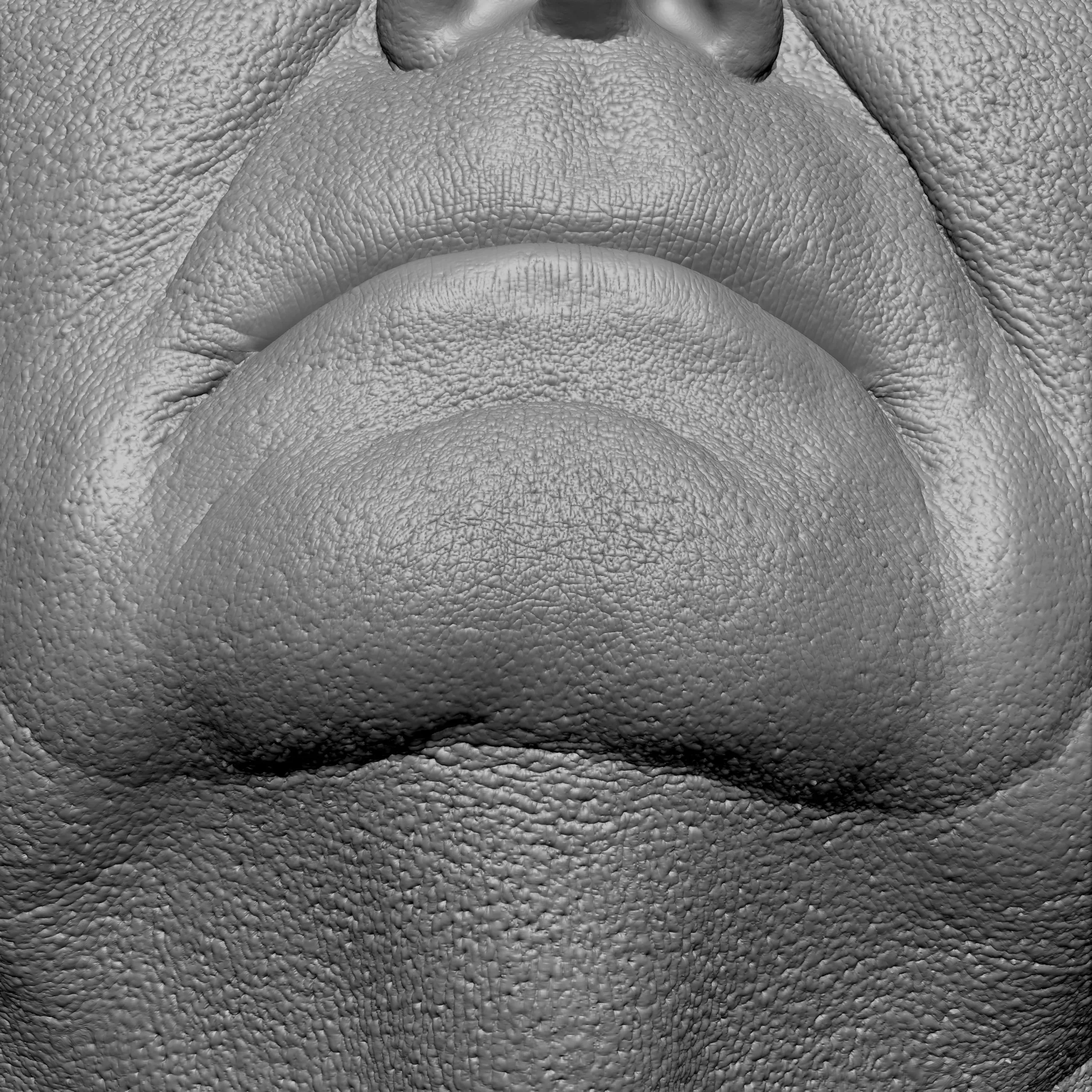 Retopologized 3D Head | Riley Evans