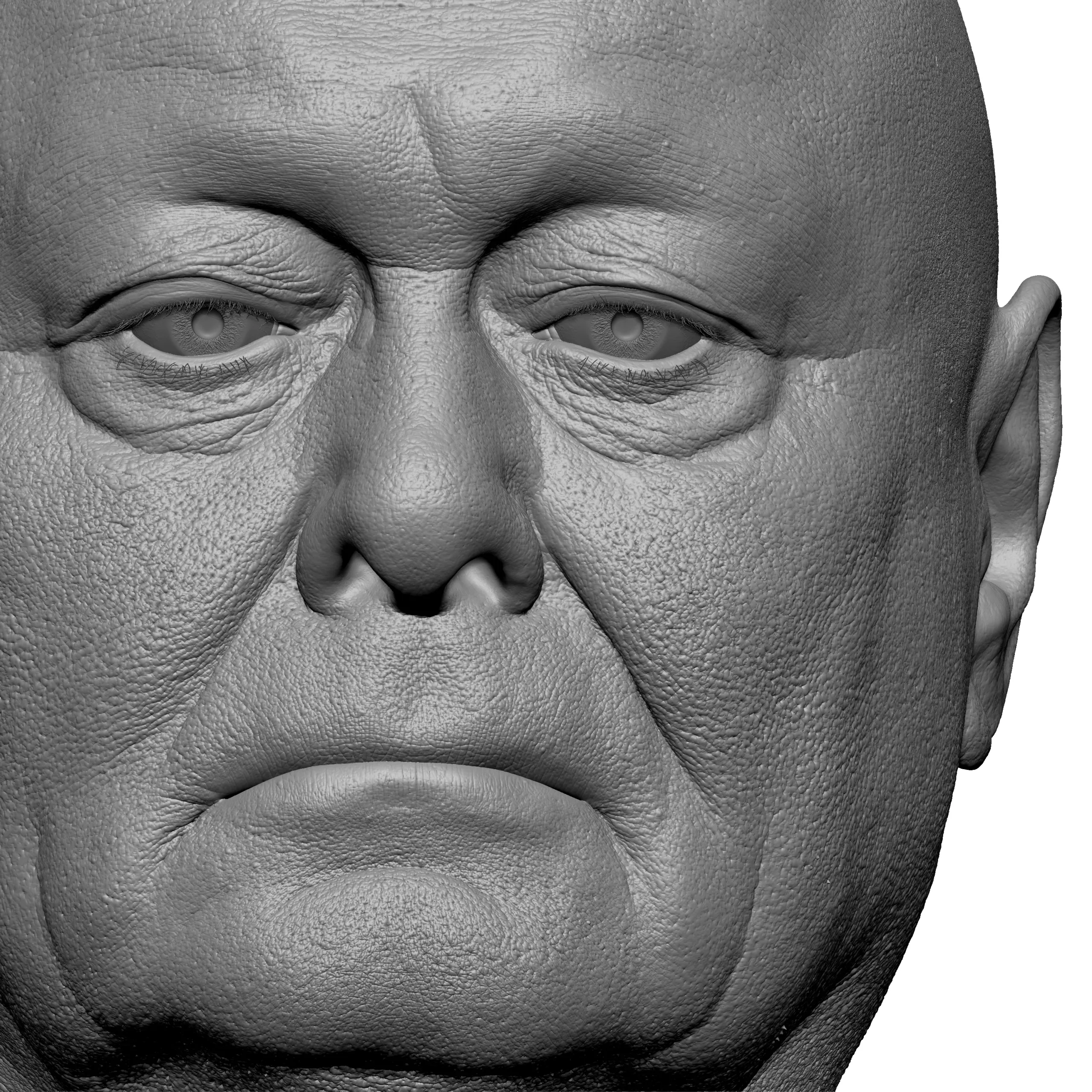 Retopologized 3D Head | Riley Evans