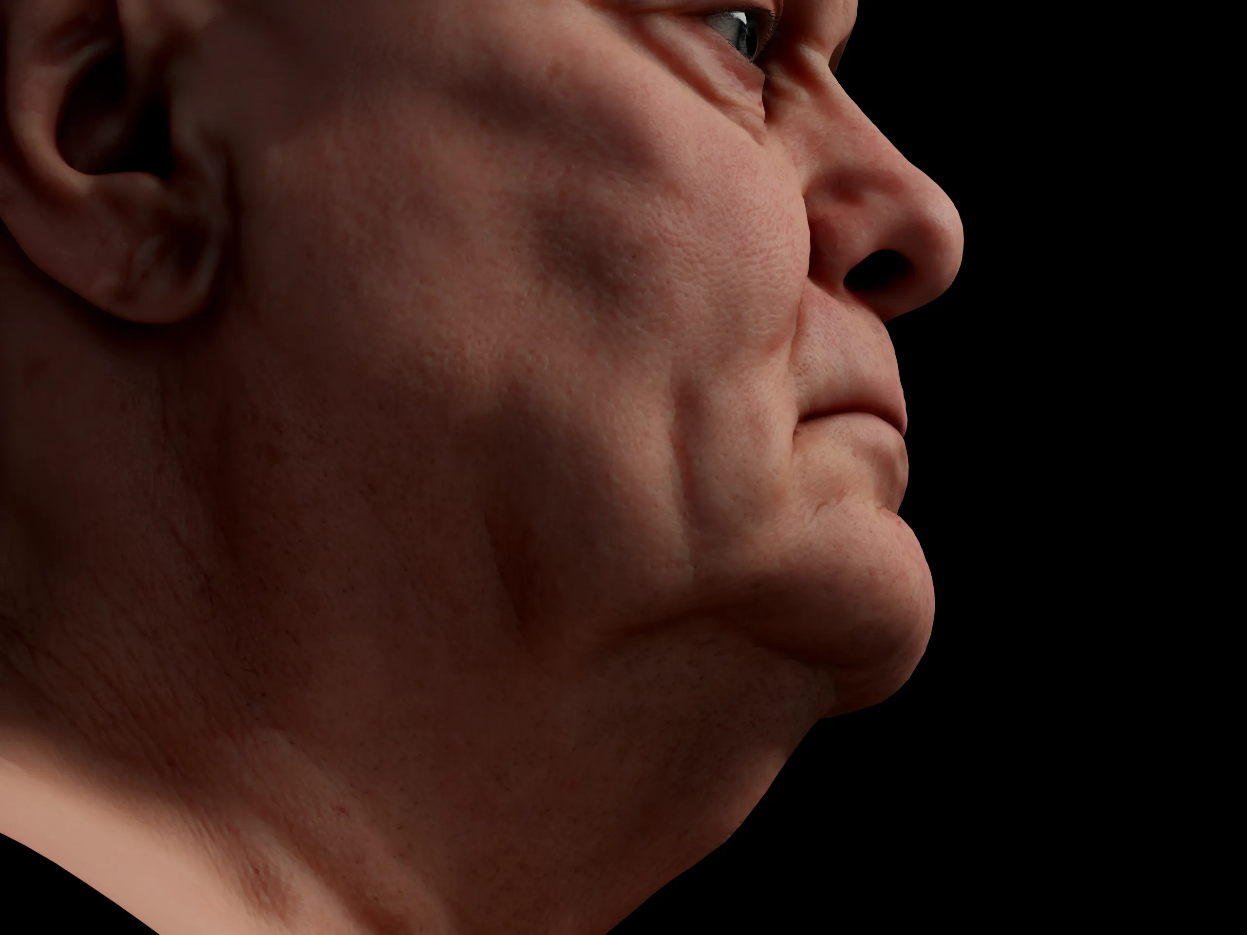 Retopologized 3D Head | Riley Evans