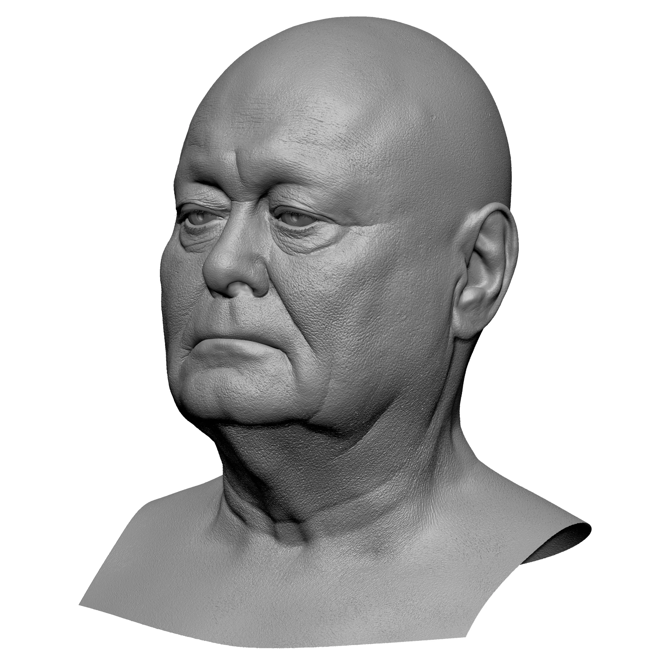 Retopologized 3D Head | Riley Evans