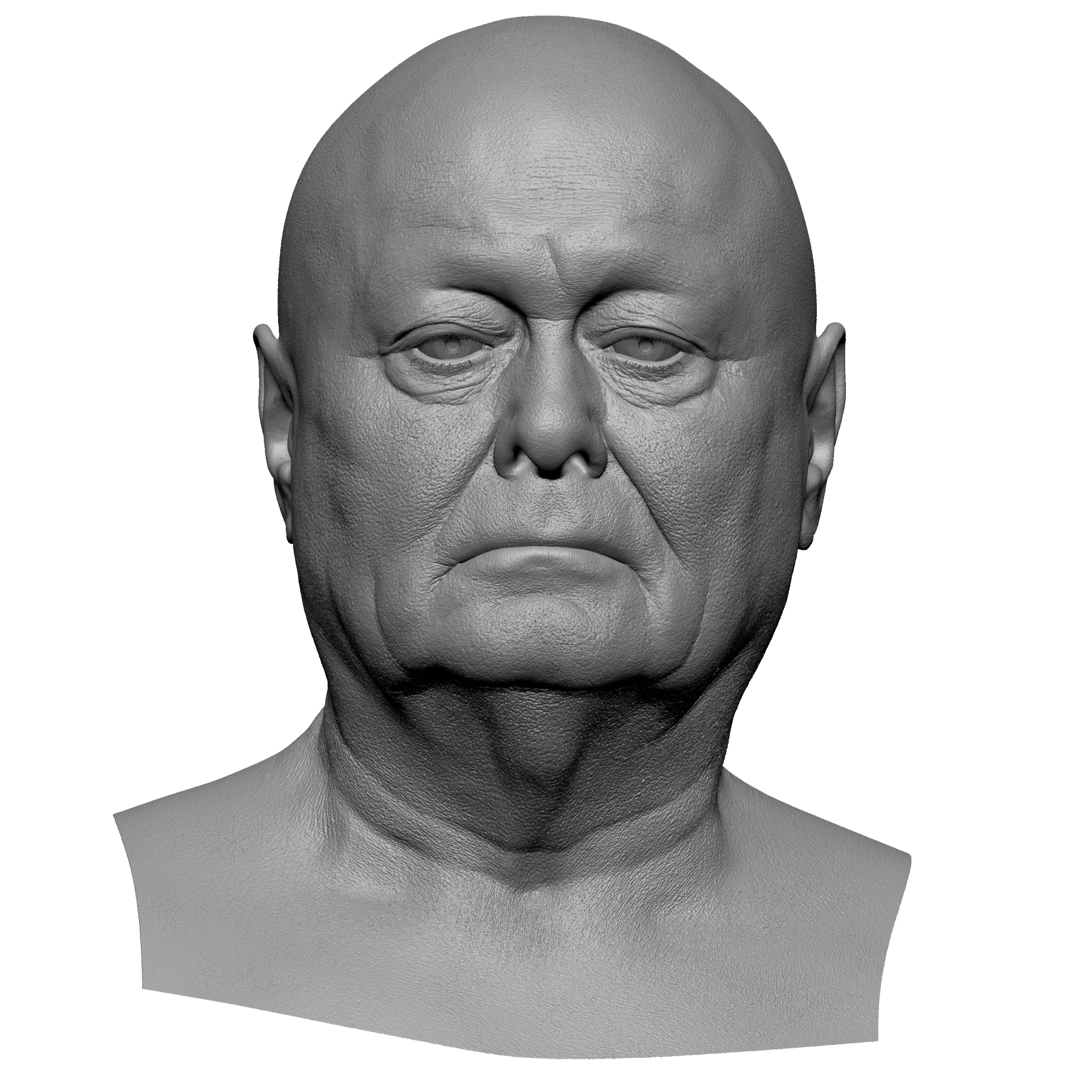 Retopologized 3D Head | Riley Evans