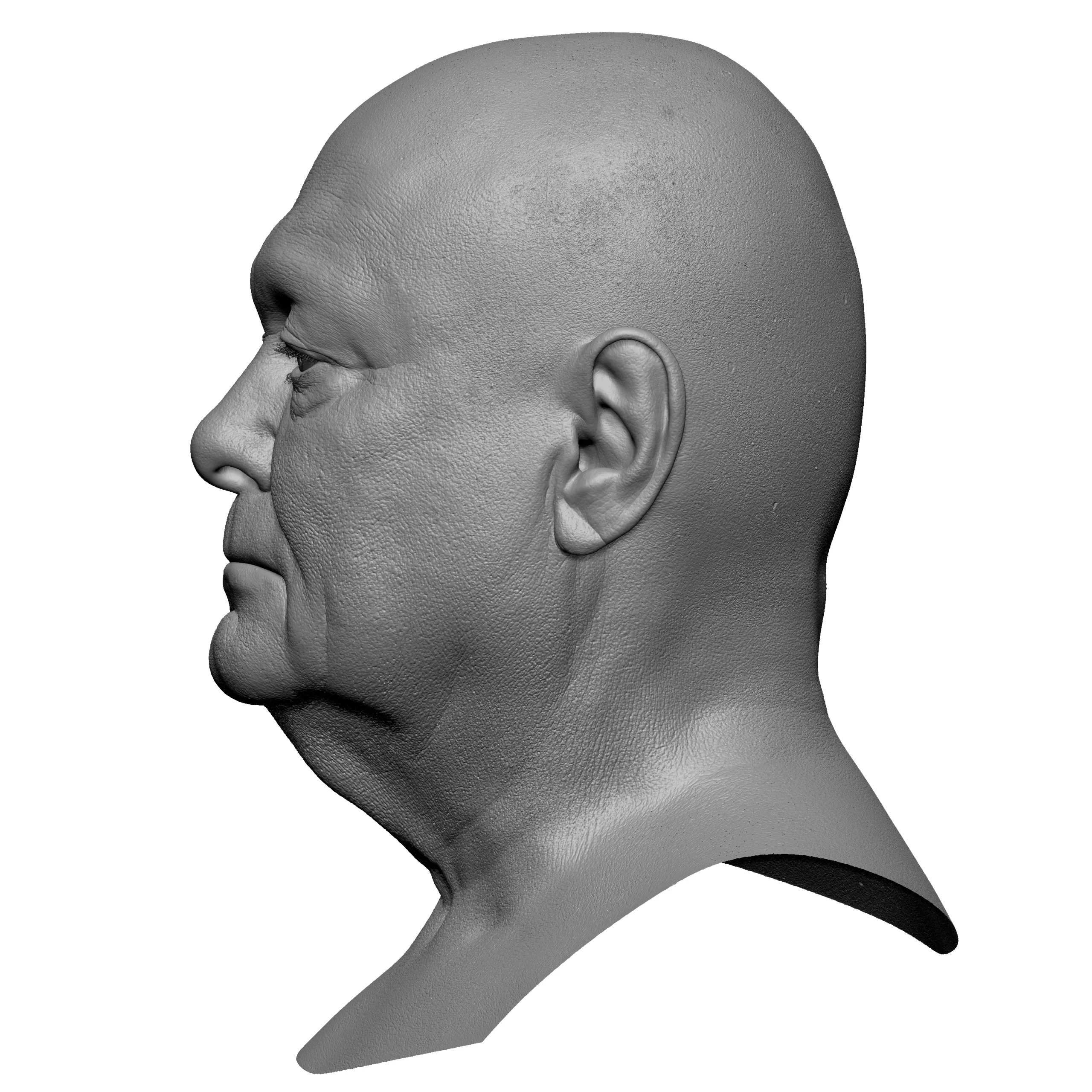 Retopologized 3D Head | Riley Evans