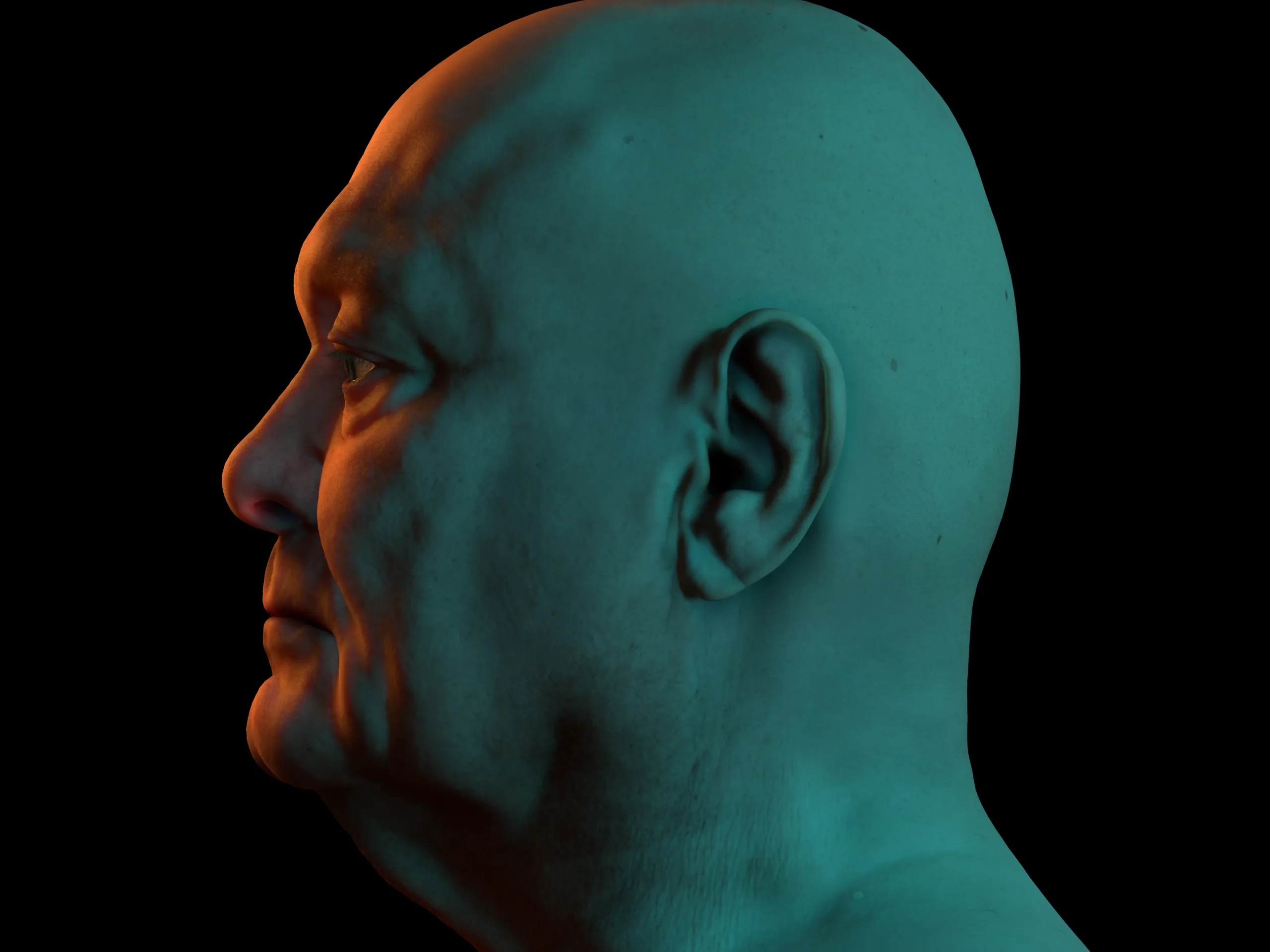 Retopologized 3D Head | Riley Evans